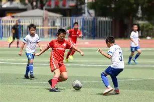 南美赛场,山谷独立攻,防流畅,NG娱乐,NG娱乐真人,NG娱乐电子,NG大舞台